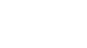 Laura de Elvira logo